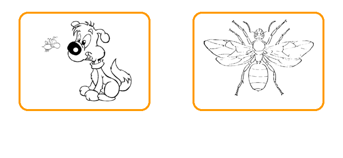 insects coloring pages